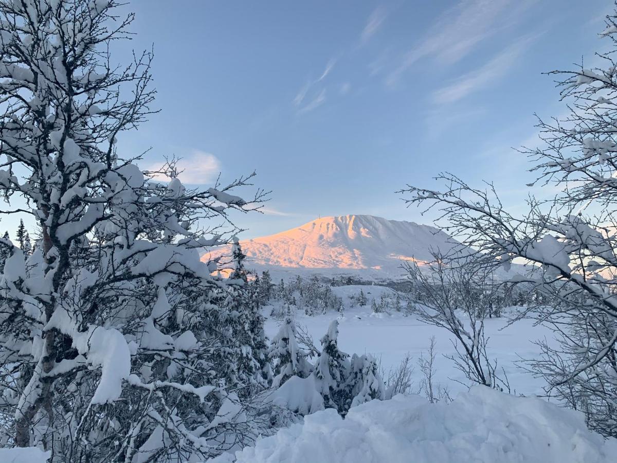New Apartment, Gausta In Rjukan. Ski In/ Ski Out エクステリア 写真